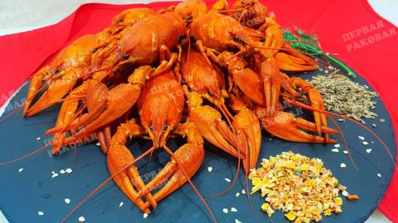 Сезон раков 2026: когда лучше заказывать и как получить максимум вкуса